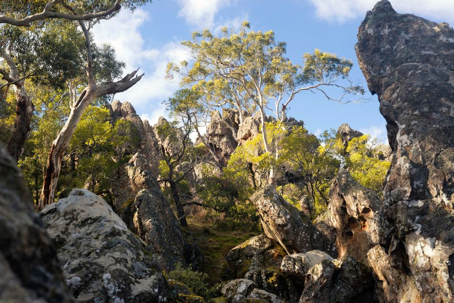 Volcanic Rocks, Award-Winning Pies and Must-See Art: Evi O’s Guide to a Hanging Rock Road Trip Volcanic Rocks, Award-Winning Pies and Must-See Art: Evi O’s Guide to a Hanging Rock Road Trip