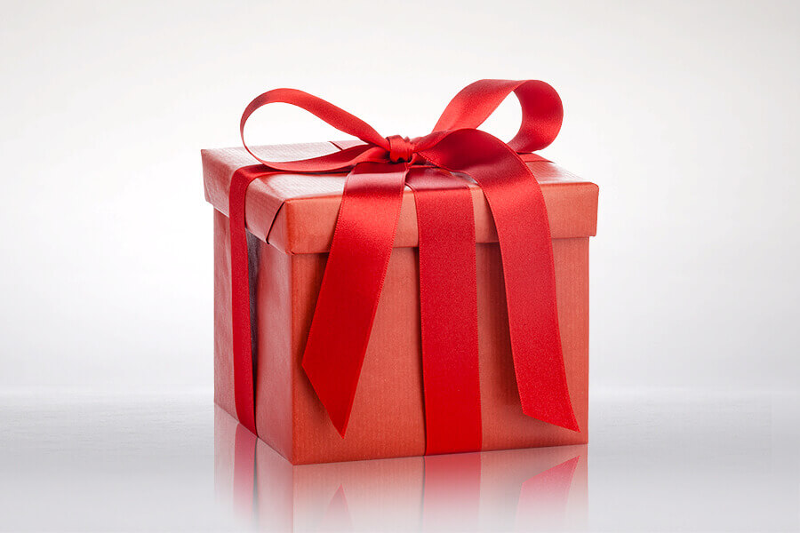Avis Christmas Sale Avis Christmas Sale