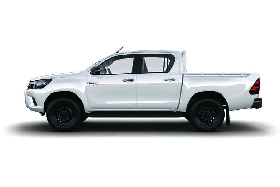 4x2 Dual Cab Tray (Group L) 4x2 Dual Cab Tray (Group L)